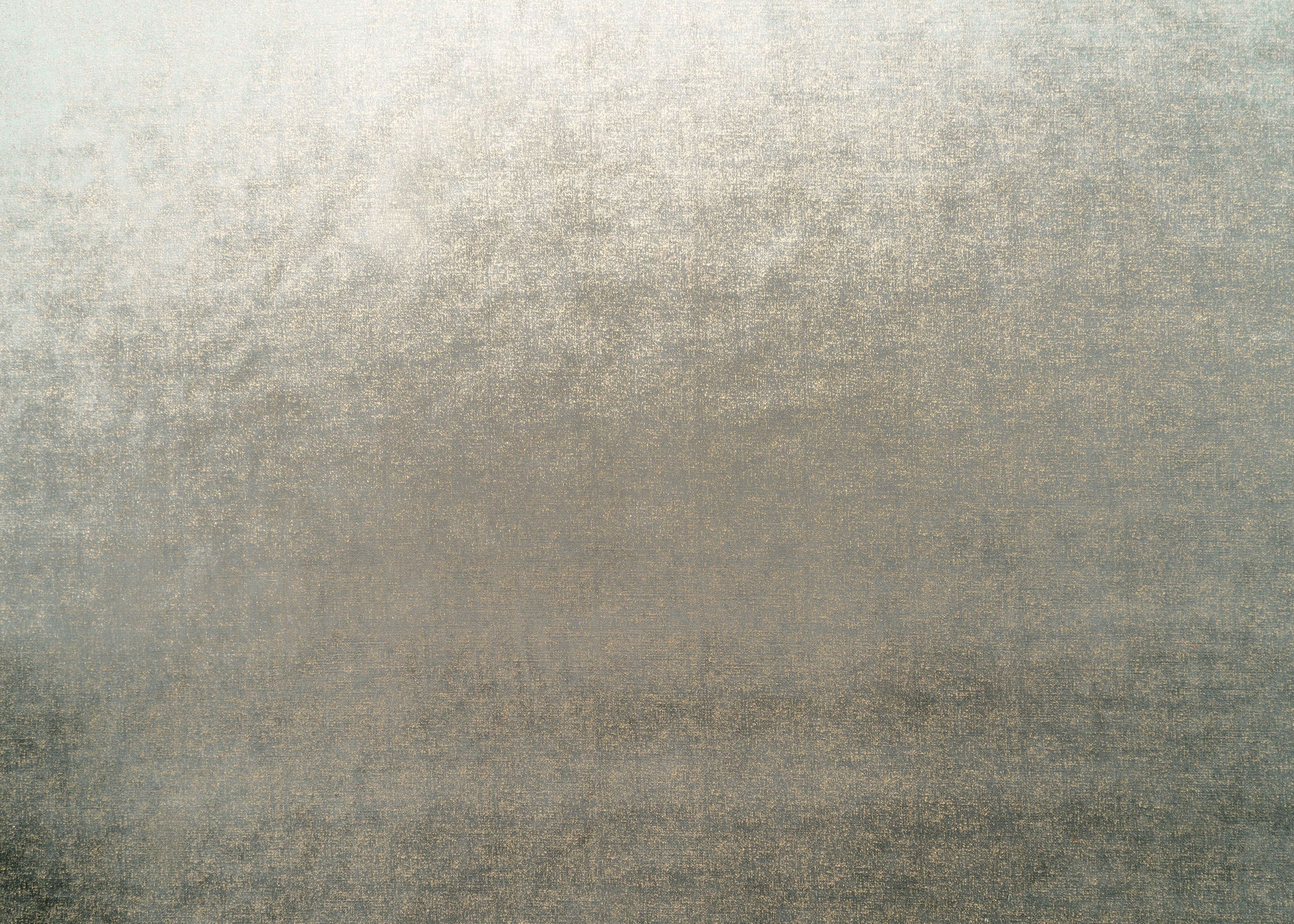 The Shock Velvet Fabric in Minky || Yardage