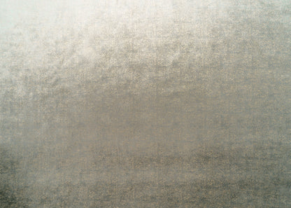 The Shock Velvet Fabric in Minky || Yardage