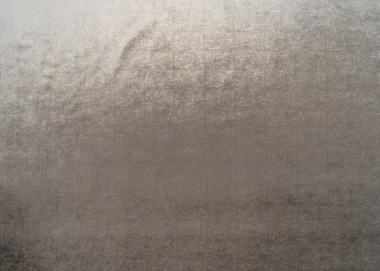 The Shock Velvet Fabric in Minky || Yardage