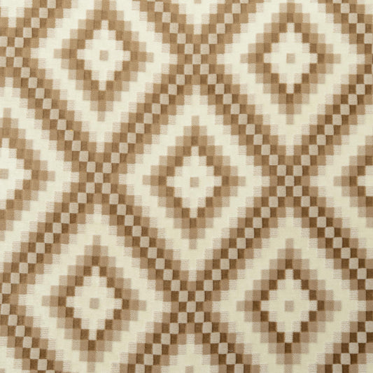 The Throne Velvet Fabric in Tumbleton || Close Up