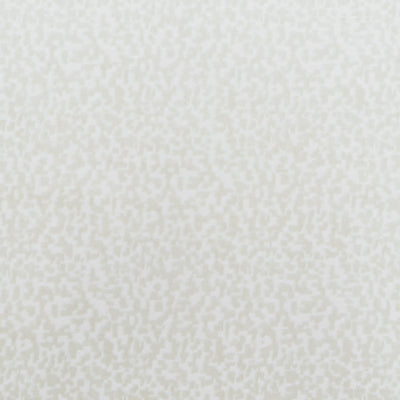 The Total Package Velvet Fabric in Ivory || Close Up