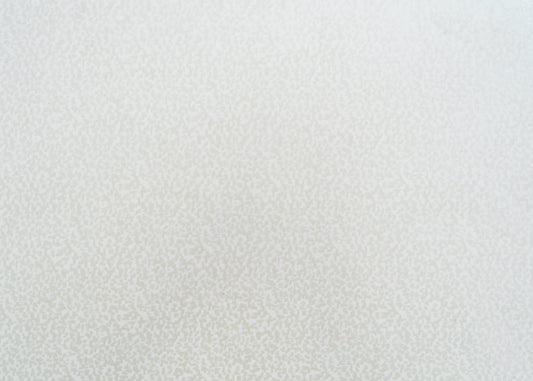 The Total Package Velvet Fabric in Ivory || Yardage