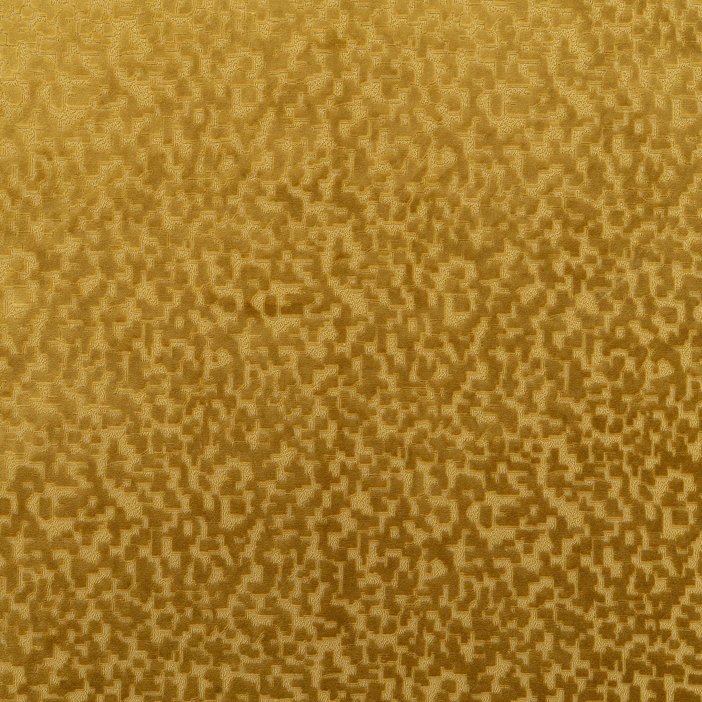 The Total Package Velvet Fabric in Midas || Close Up