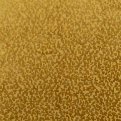 The Total Package Velvet Fabric in Midas || Close Up