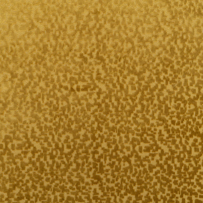 The Total Package Velvet Fabric in Midas || Close Up