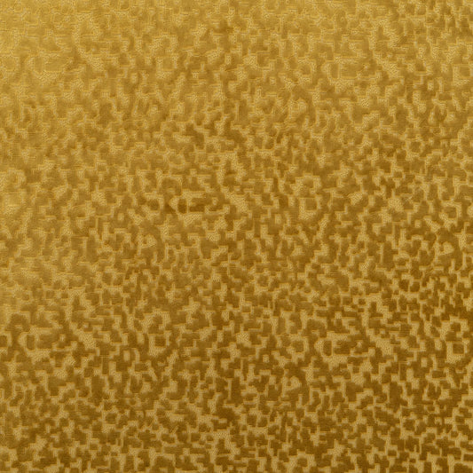 The Total Package Velvet Fabric in Midas || Close Up