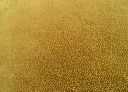 The Total Package Velvet Fabric in Midas || Yardage