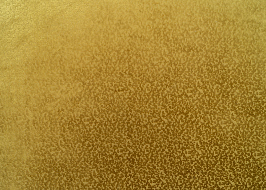 The Total Package Velvet Fabric in Midas || Yardage