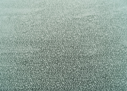 The Total Package Velvet Fabric in Spa || Yardage