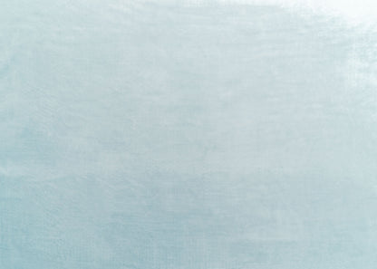 The Trophy Velvet Fabric in Haze || Yardage