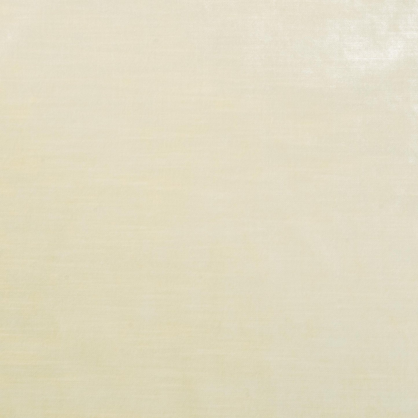The Trophy Velvet Fabric in Ivory || Close Up