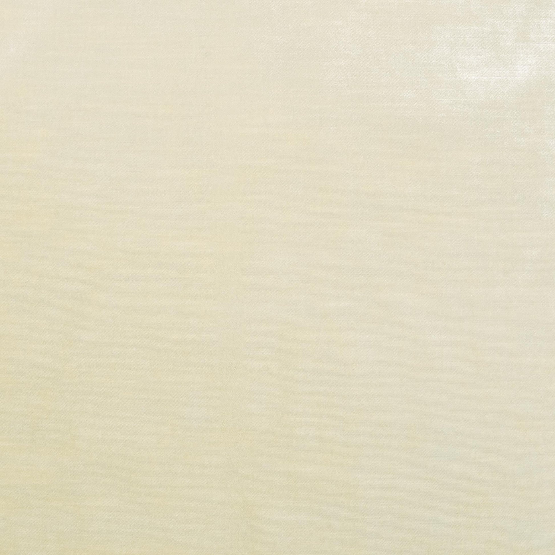The Trophy Velvet Fabric in Ivory || Close Up