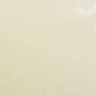 The Trophy Velvet Fabric in Ivory || Close Up