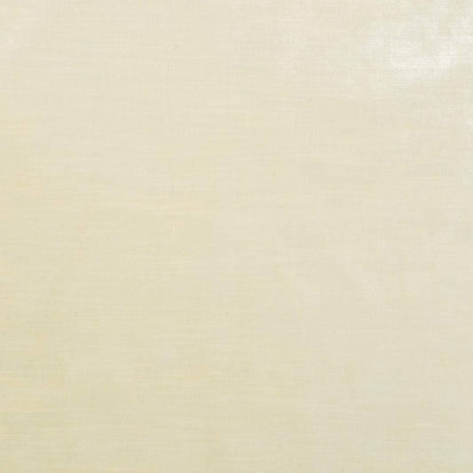 The Trophy Velvet Fabric in Ivory || Close Up
