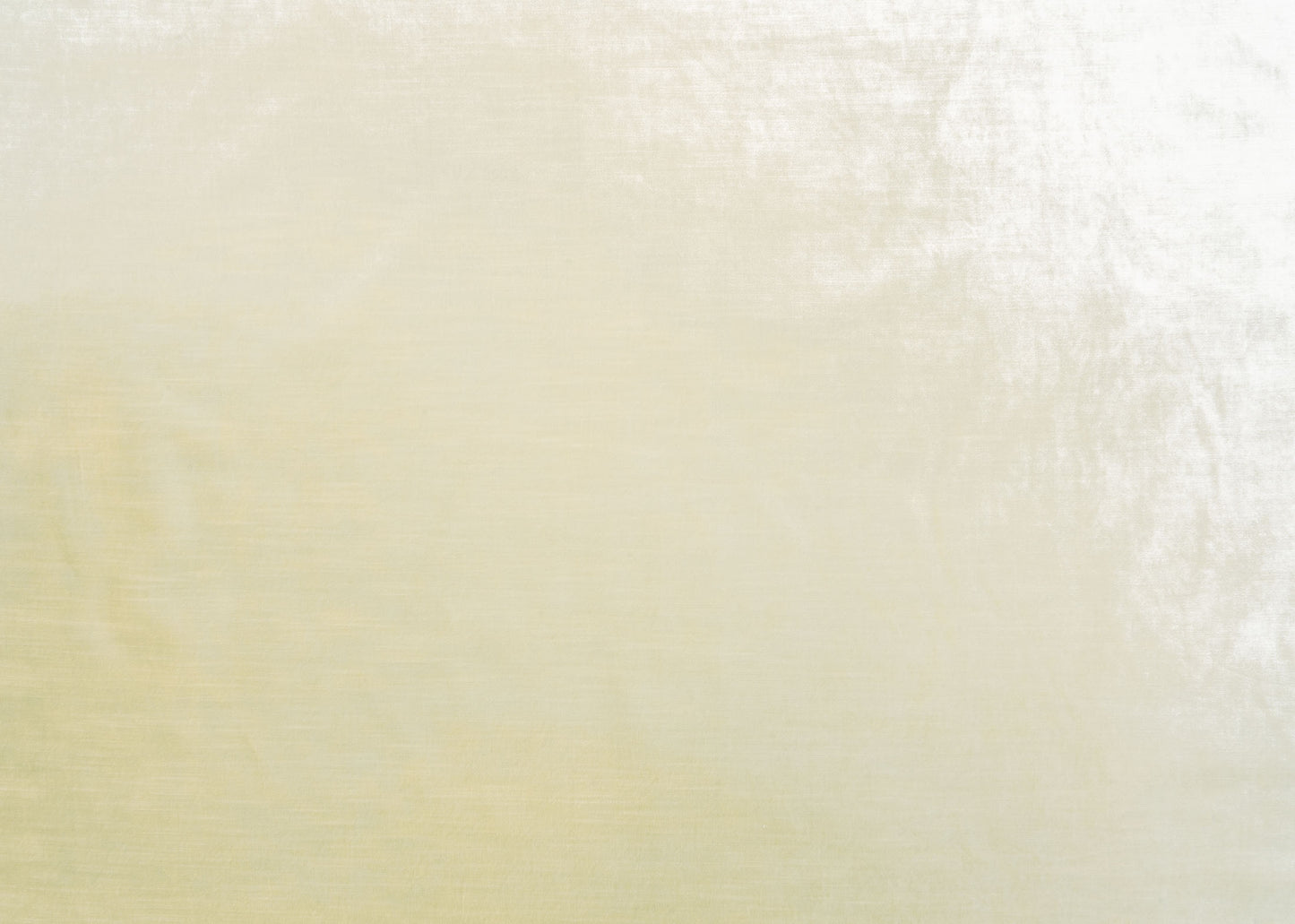 The Trophy Velvet Fabric in Ivory || Yardage