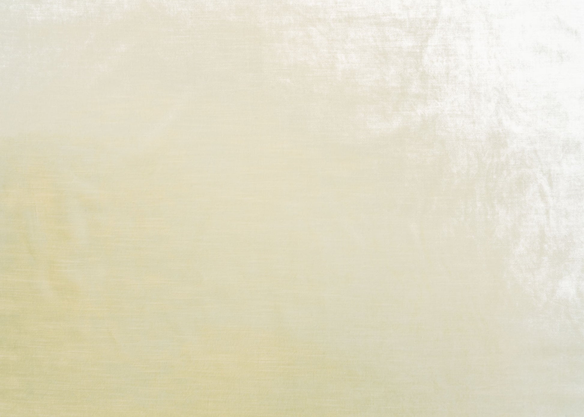 The Trophy Velvet Fabric in Ivory || Yardage