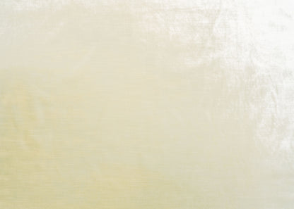 The Trophy Velvet Fabric in Ivory || Yardage