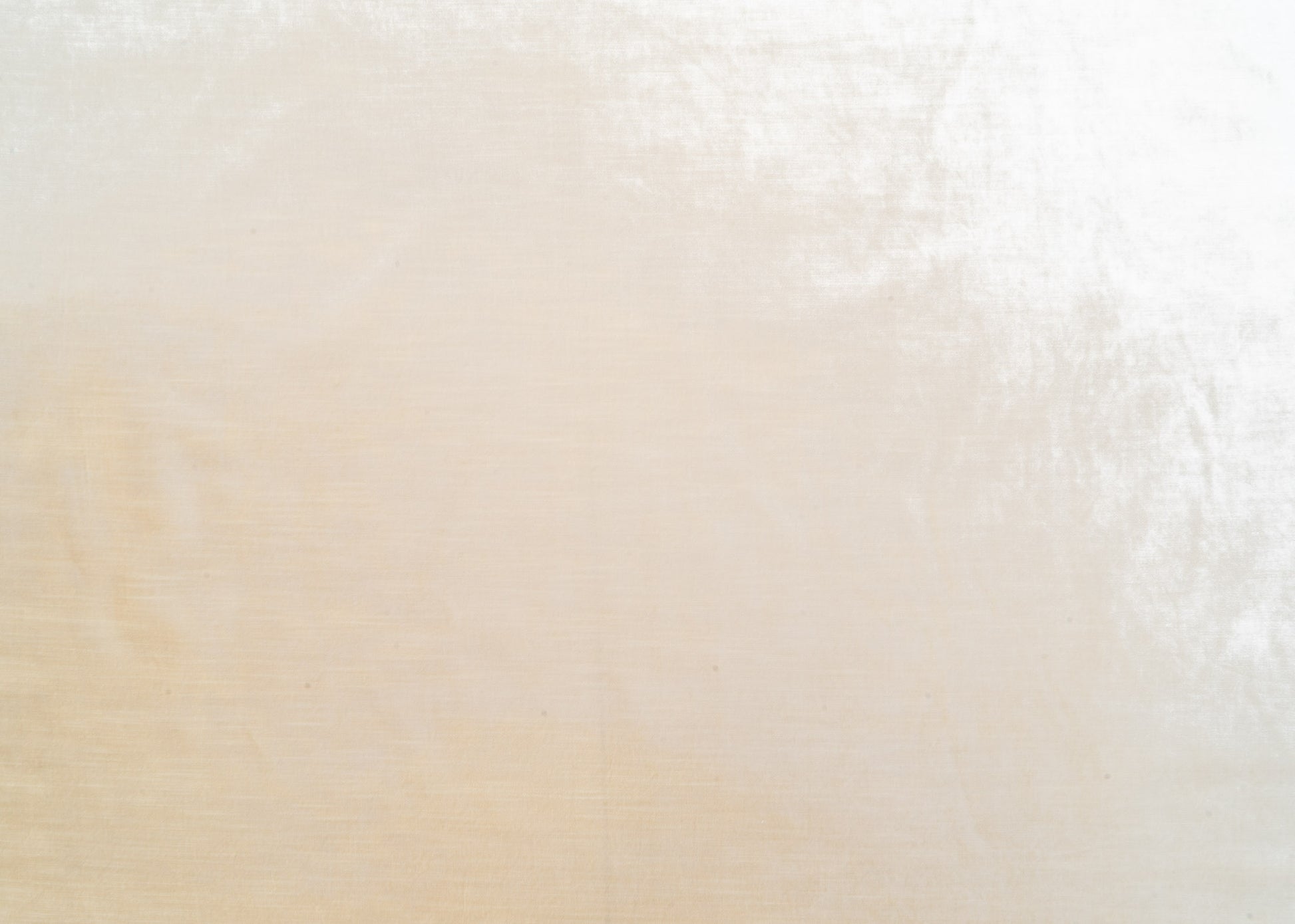 The Trophy Velvet Fabric in Ivory || Yardage
