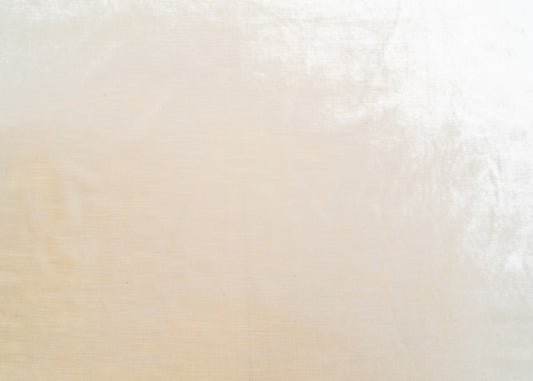 The Trophy Velvet Fabric in Ivory || Yardage