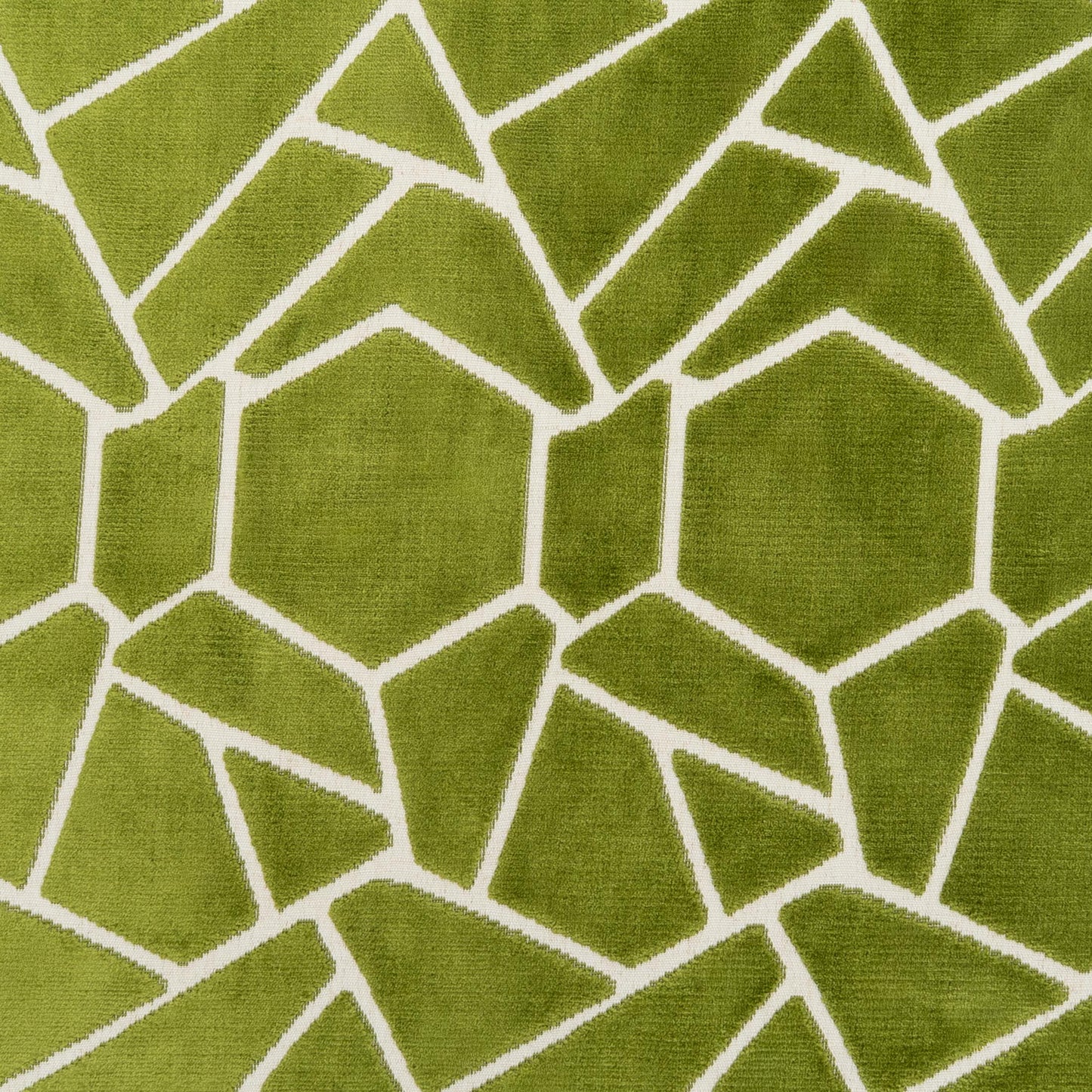 The Venus Fabric in Olive Kiwi (Allover) || Close Up