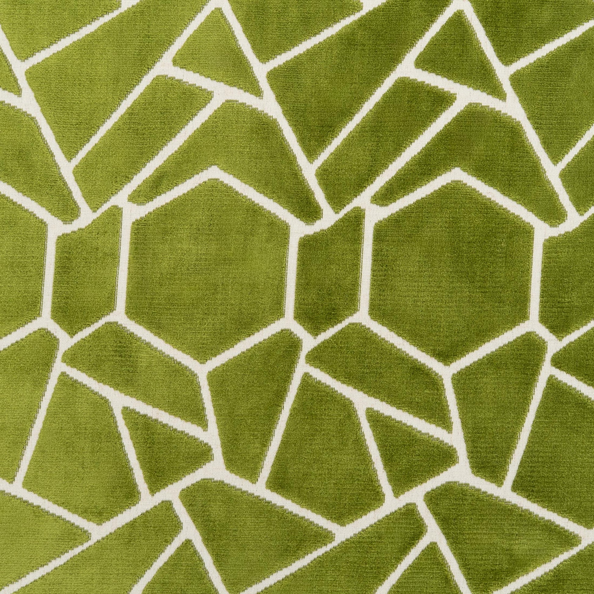 The Venus Fabric in Olive Kiwi (Allover) || Close Up