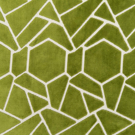 The Venus Fabric in Olive Kiwi (Allover) || Close Up