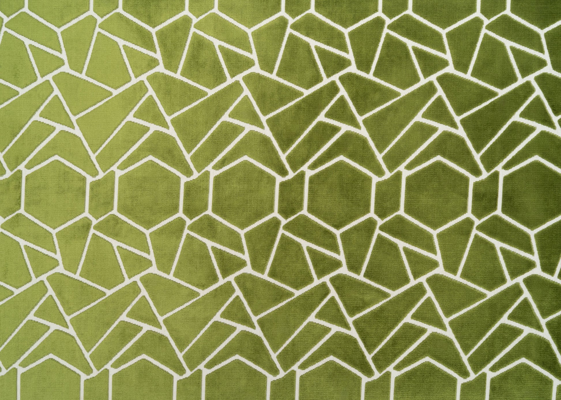 The Venus Fabric in Olive Kiwi (Allover) || Yardage