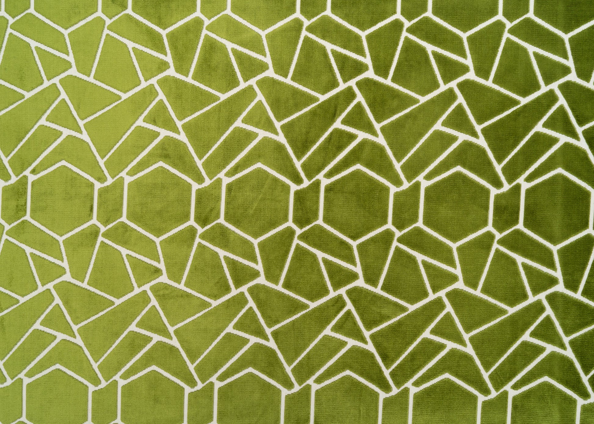The Venus Fabric in Olive Kiwi (Allover) || Yardage