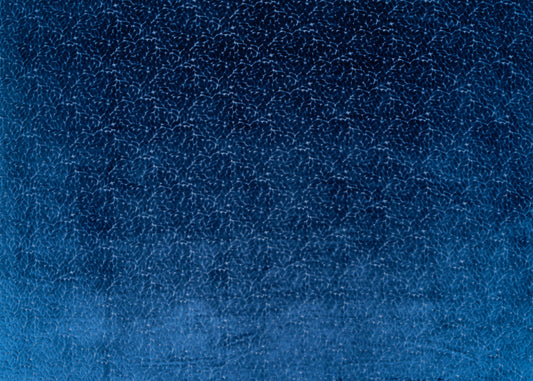 The Walk In The Park Fabric in Blueberry || Yardage
