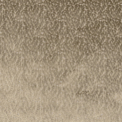 The Walk In The Park Fabric in Caramel || Close Up