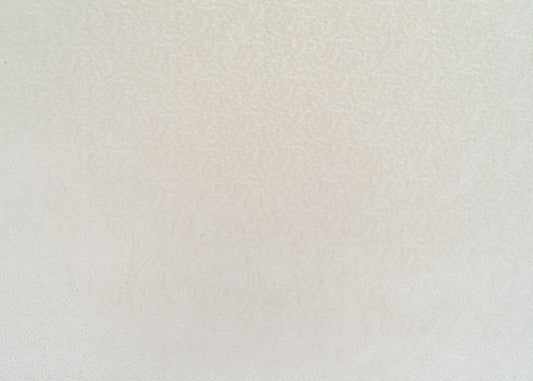 The Walk In The Park Fabric in Ivory || Yardage