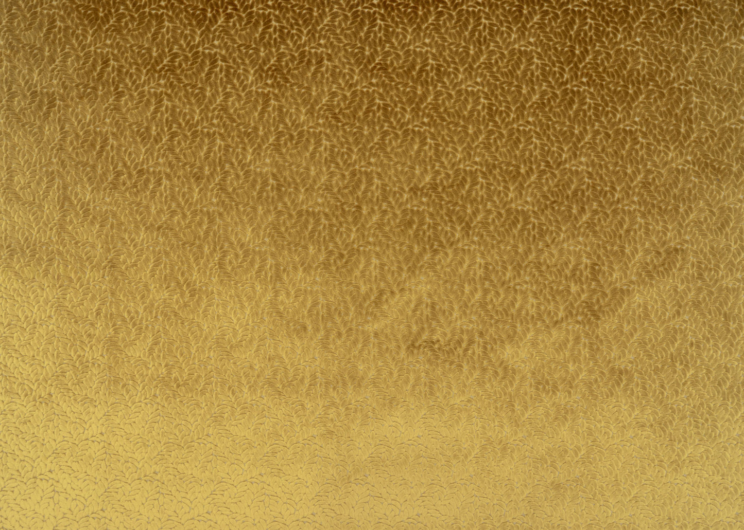 The Walk In The Park Fabric in Midas || Yardage