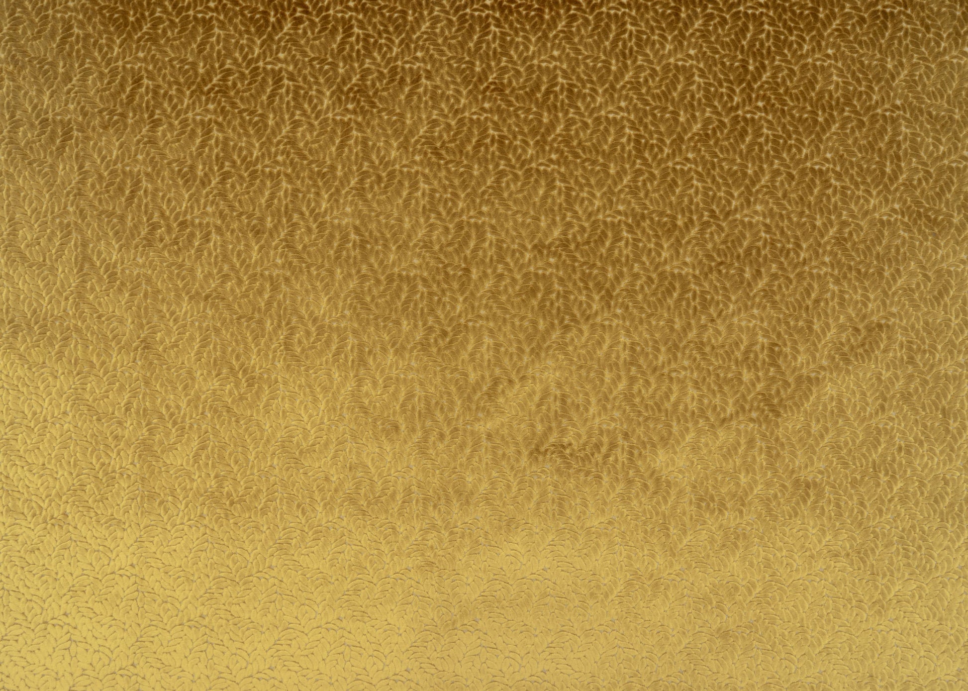 The Walk In The Park Fabric in Midas || Yardage