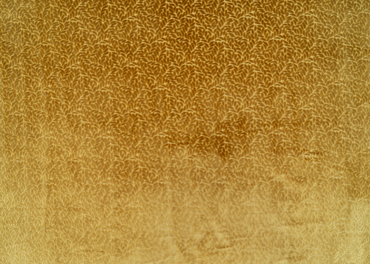 The Walk In The Park Fabric in Midas || Yardage