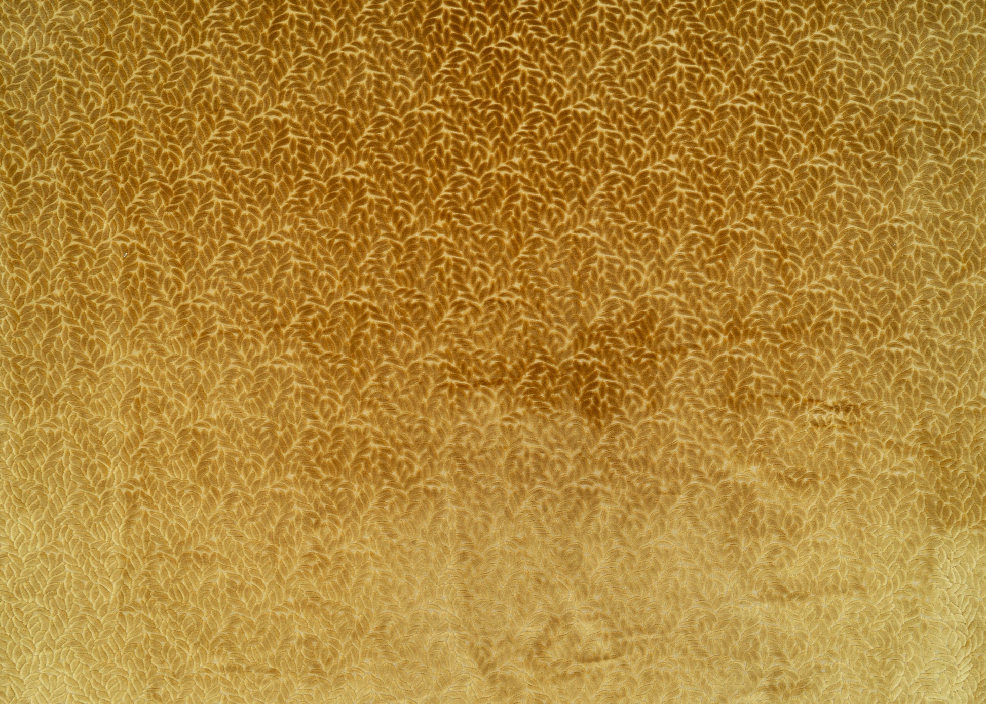 The Walk In The Park Fabric in Midas || Yardage