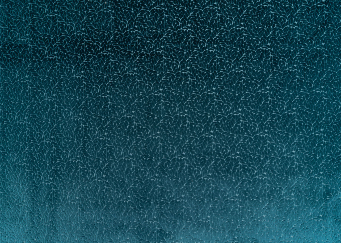 The Walk In The Park Fabric in Midnight || Yardage