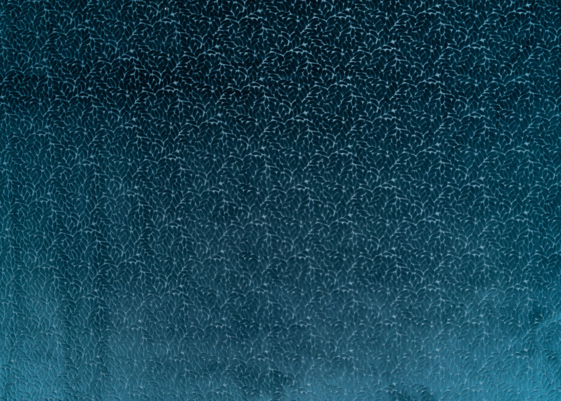The Walk In The Park Fabric in Midnight || Yardage