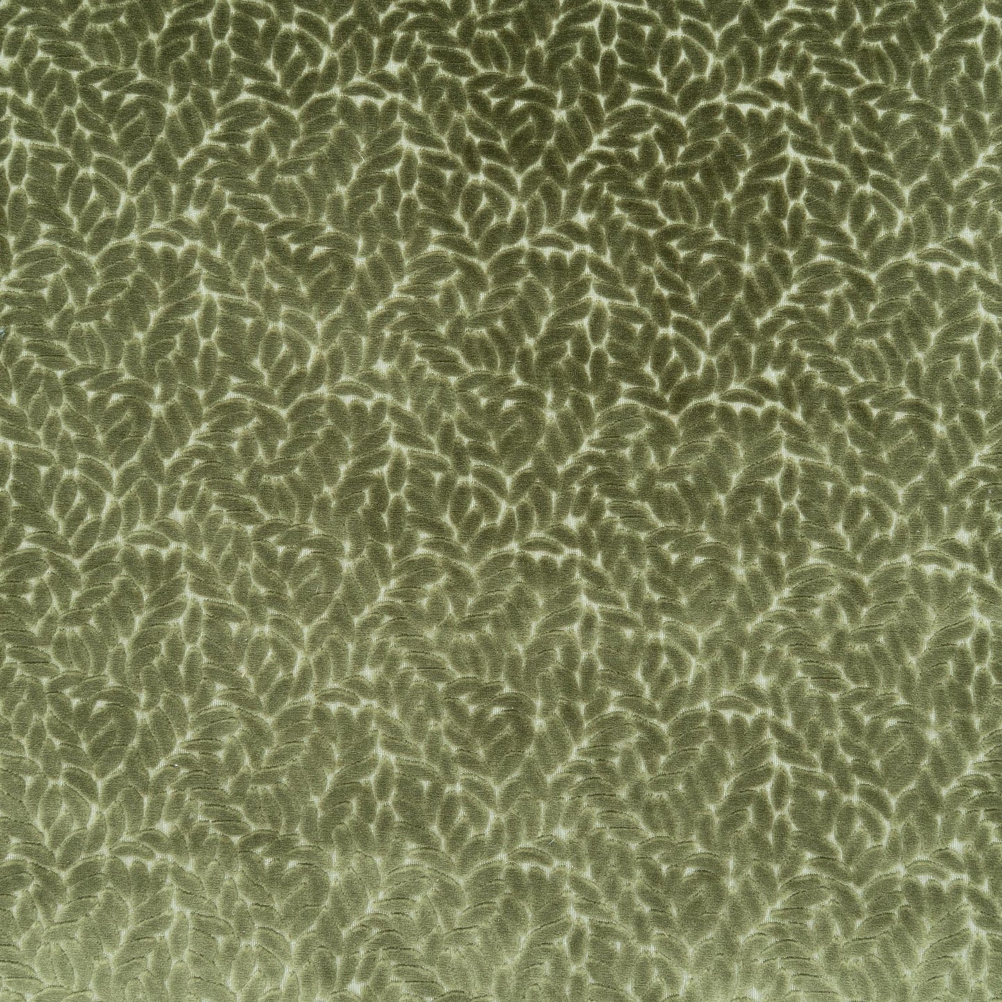 The Walk In The Park Fabric in Thyme || Close Up