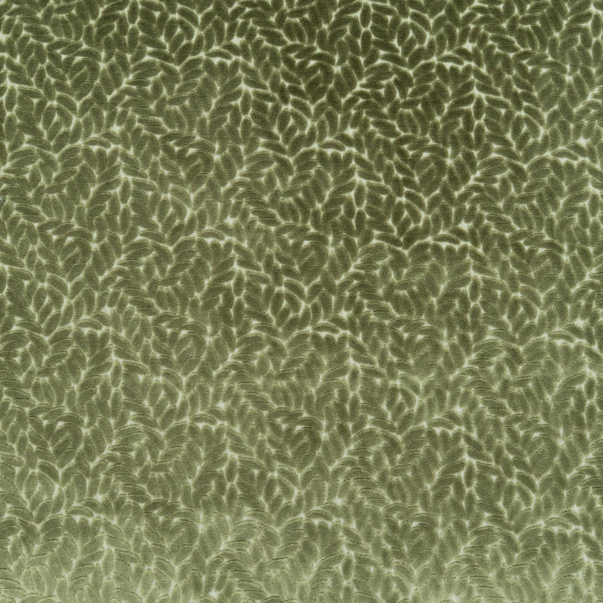 The Walk In The Park Fabric in Thyme || Close Up