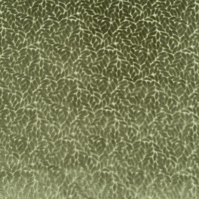 The Walk In The Park Fabric in Thyme || Close Up