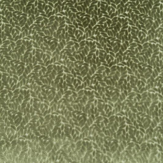 The Walk In The Park Fabric in Thyme || Close Up