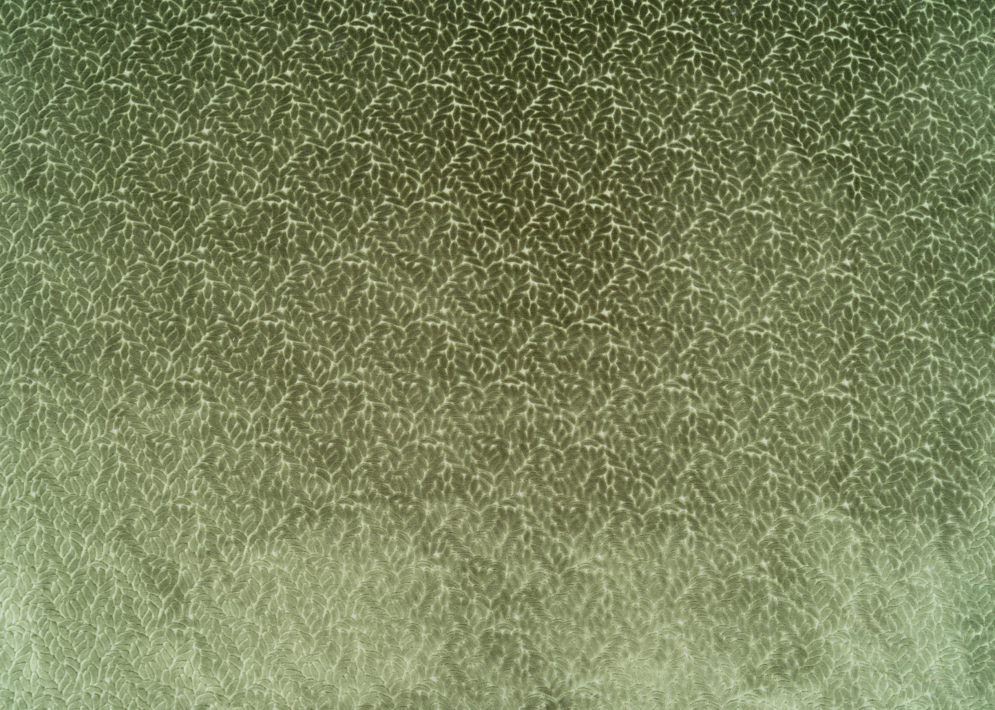 The Walk In The Park Fabric in Thyme || Yardage