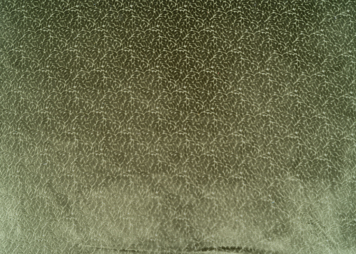 The Walk In The Park Fabric in Thyme || Yardage