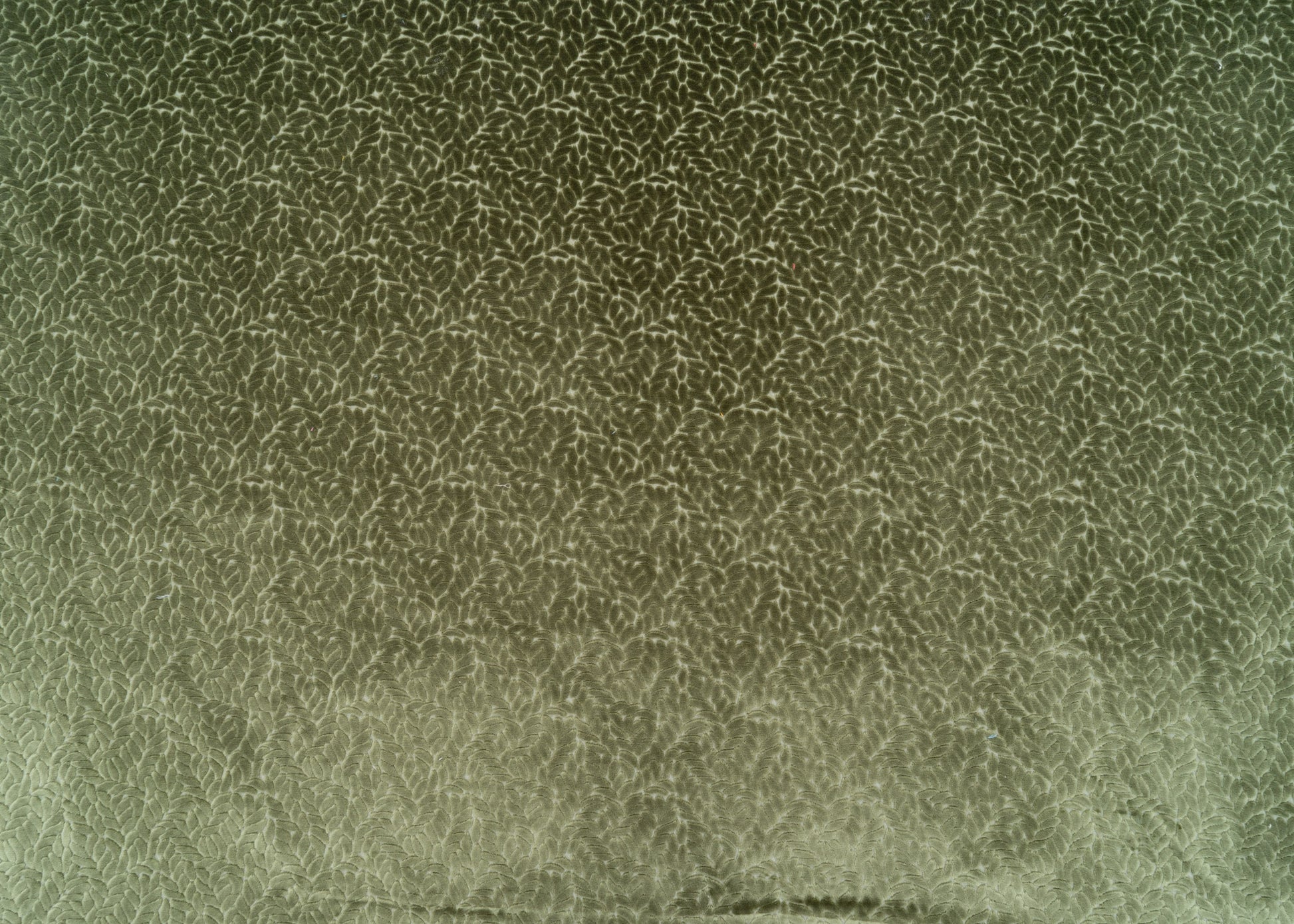 The Walk In The Park Fabric in Thyme || Yardage