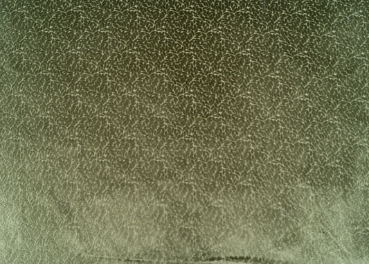 The Walk In The Park Fabric in Thyme || Yardage