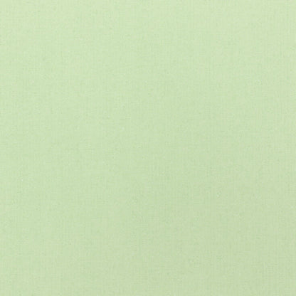 The Winter Park Fabric in Spearmint || Close Up