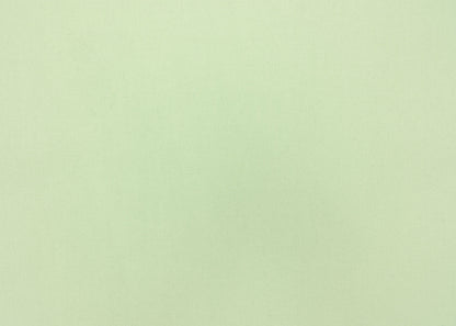 The Winter Park Fabric in Spearmint || Yardage